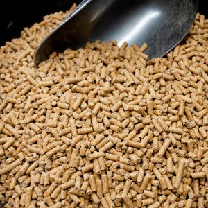layer-pellets-300x300